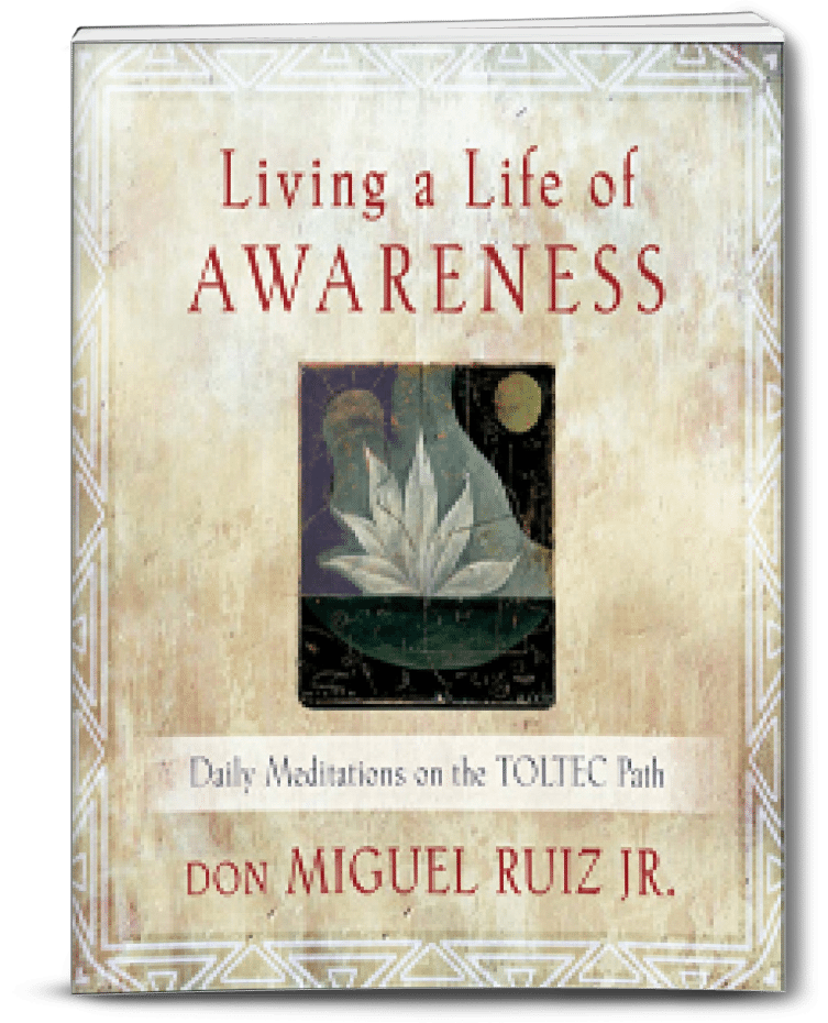 living a life of awareness don miguel ruiz jr