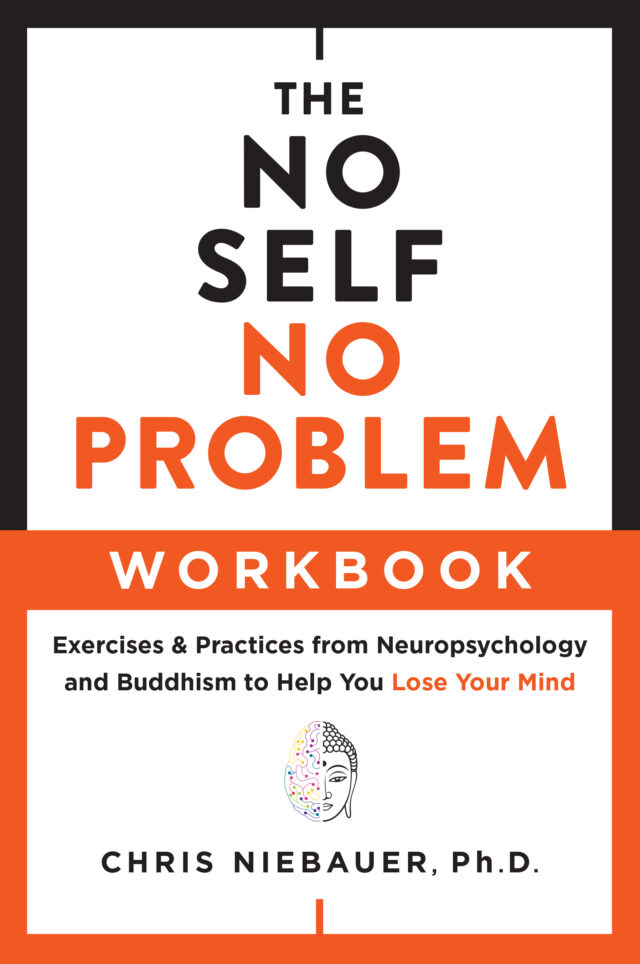 Cover image for The No Self, No Problem Workbook by Chris Niebauer, PhD