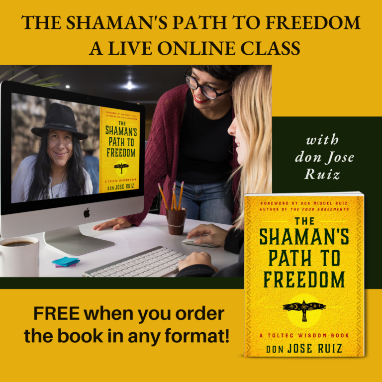Shamans Path to Freedom_free class